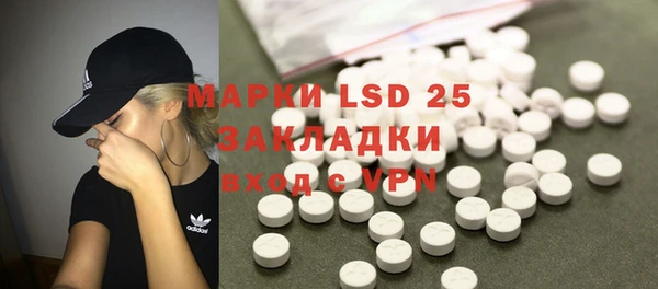 ешки Горняк