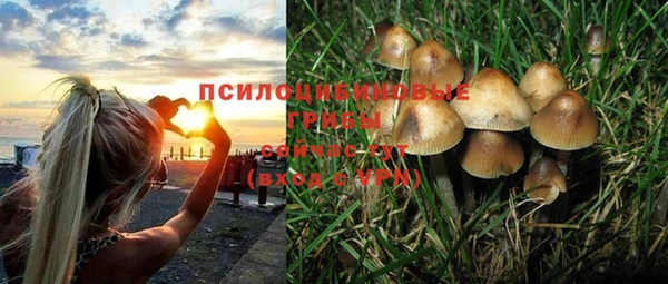 экстази Горно-Алтайск