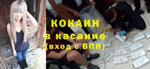 ешки Горняк
